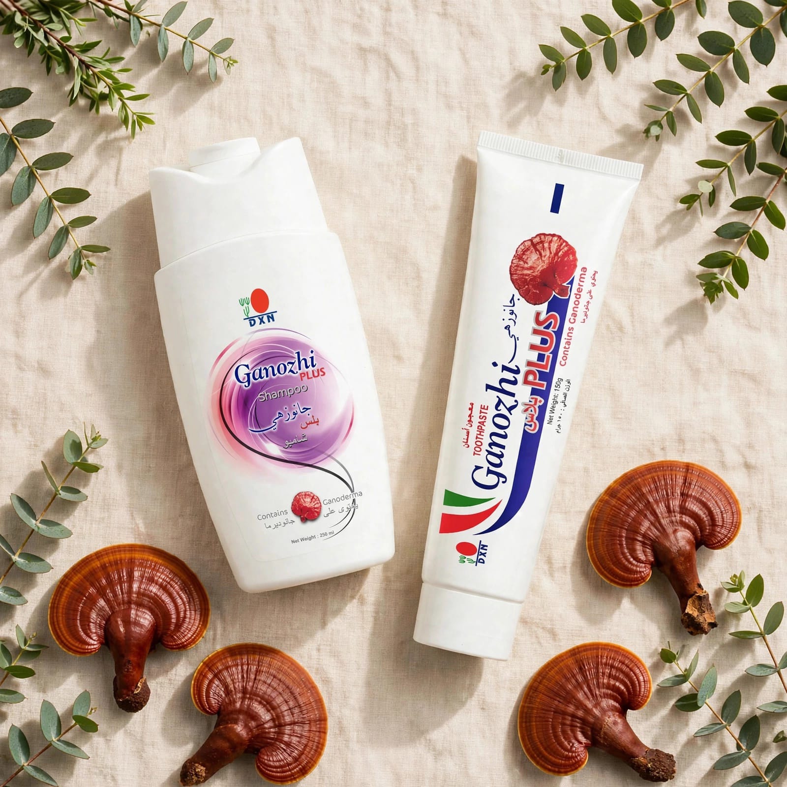 Personal Care _ العناية الشخصية